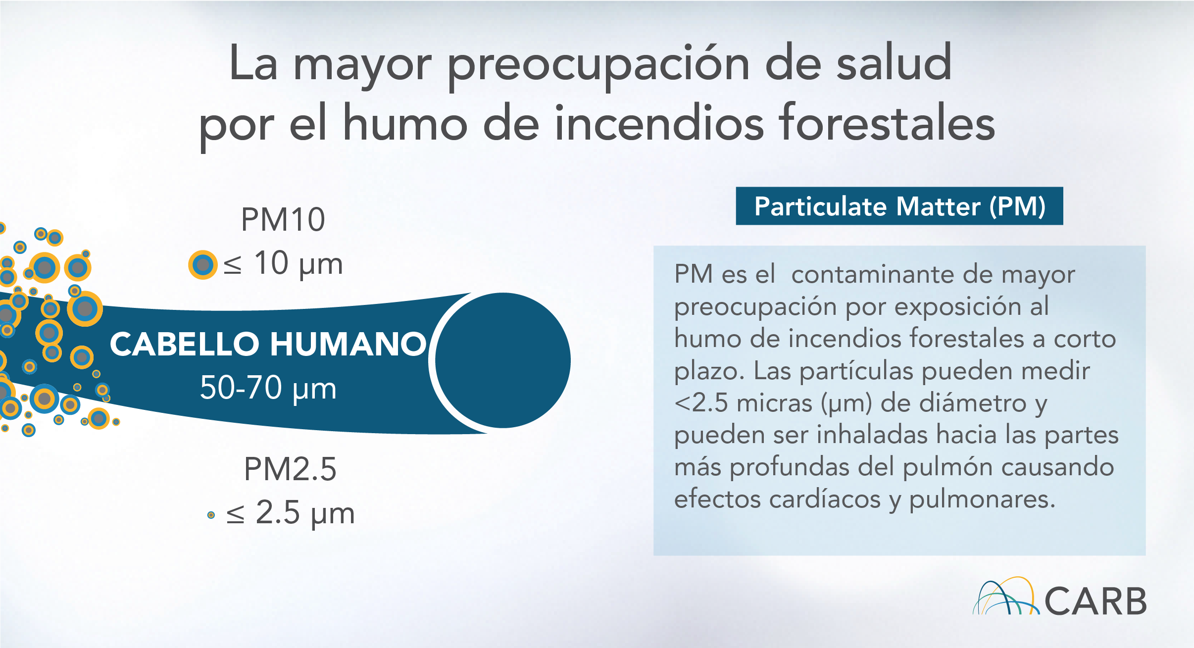 La mayor preocupación de salud por el humo de incendios forestales: Particulate Matter (PM) - PM es el  contaminante de mayor preocupación por exposición al humo de incendios forestales a corto plazo. Las partículas pueden medir <2.5 micras (μm) de diámetro y pueden ser inhaladas hacia las partes más profundas del pulmón causando efectos cardíacos y pulmonares. 