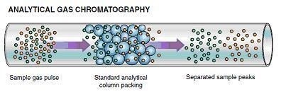 Gas Chromatography