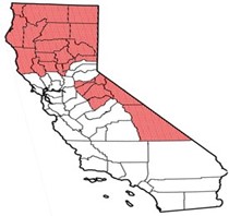 Designated low-population county map with counties listed in previous paragraph shaded