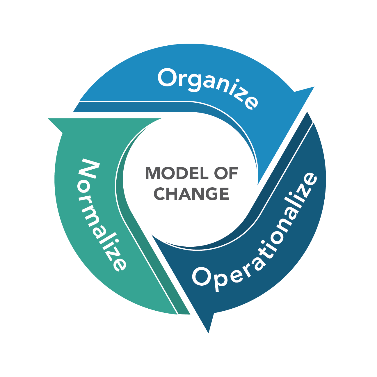 Model of Change - Normalize, Organize, Operationalize