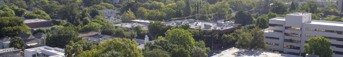 View of rooftops and trees in an urban city