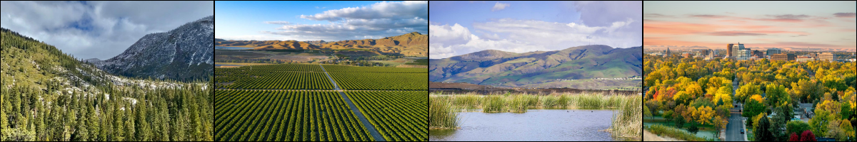 Four separate images of a montane forest, cropland, wetlands, and an urban forest combined into one image.