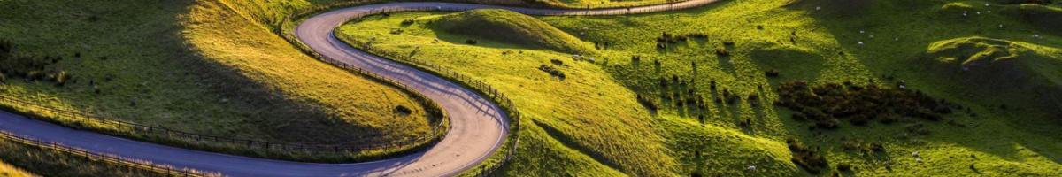 Road in green rolling hills