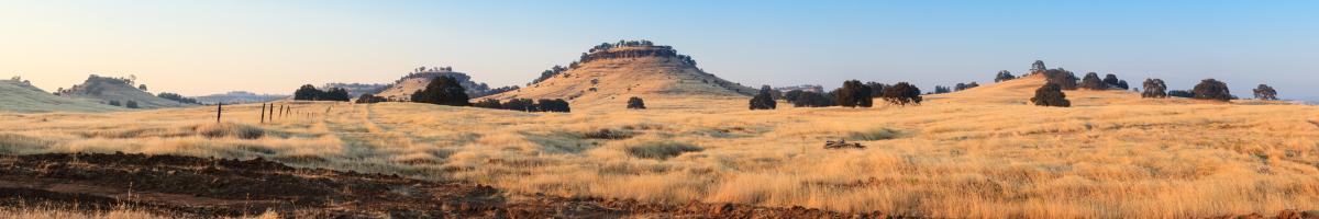 Butte County Rolling HIlls 