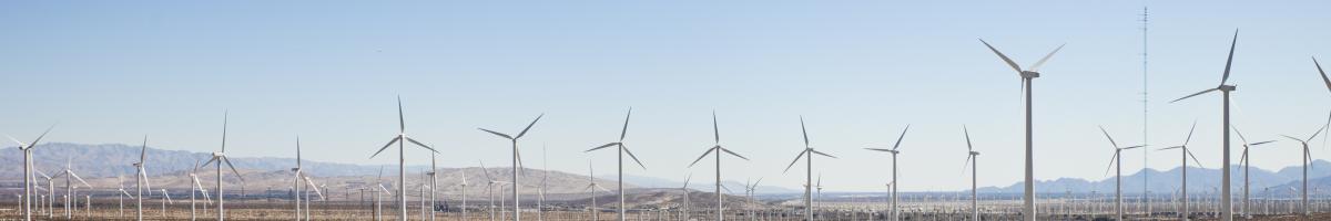 solar and wind farm