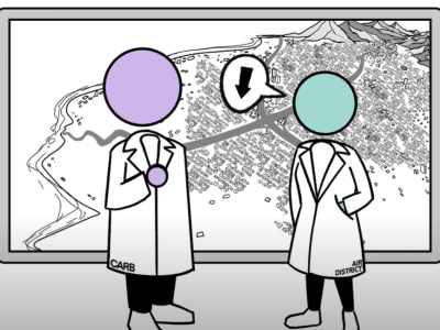 Ambient Air Quality Standards animation