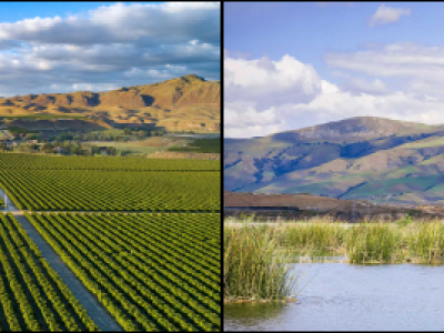 Four separate images of a montane forest, cropland, wetlands, and an urban forest combined into one image.