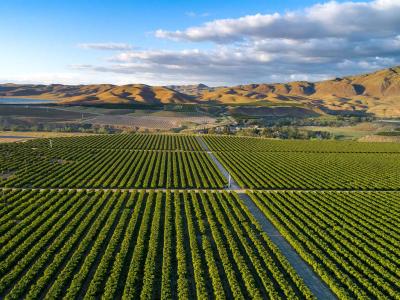 San Joaquin Valley Agriculture