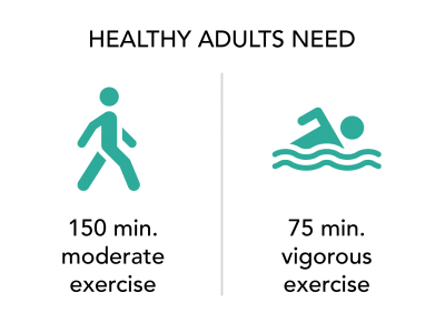 healthy adult exercise