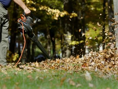 electric leaf blower