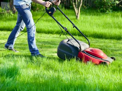 electric lawn mower