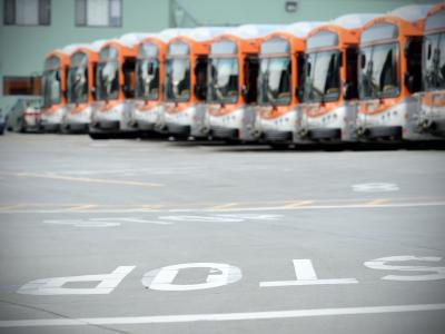 buses in a line